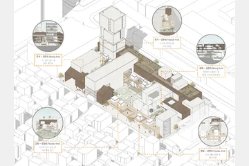 지식 컴플렉스 필드