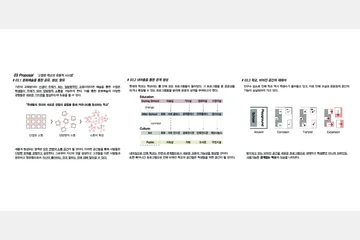 경계없는 학교 — 이미지 5