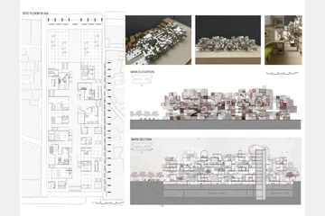 태어나는 세운 — 이미지 6