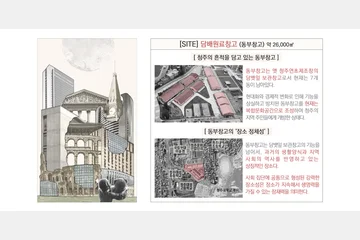 로컬 팔림프세스트 — 이미지 3