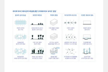 크리에이티브 보이드 — 이미지 6