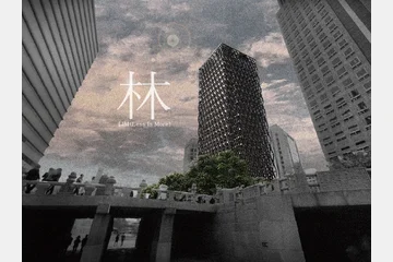 林(LIM);Less Is More