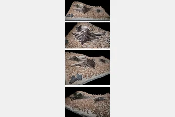 1,450 M. S. L — 이미지 10